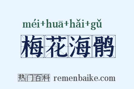 梅花海鹘是什么意思的图片